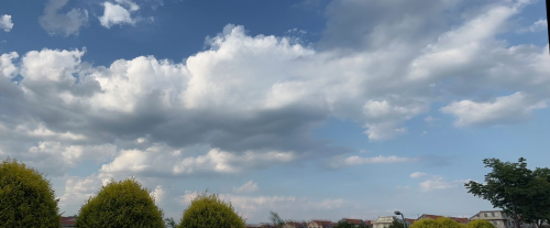 image 20230614171324311